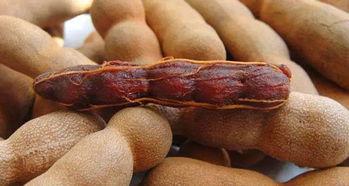 酸角带货主播娱乐吃瓜,酸爽酸角带货新风尚 第2张 酸角带货主播娱乐吃瓜,酸爽酸角带货新风尚 第2张