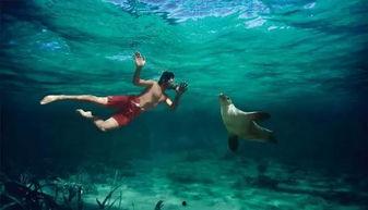 一线吃瓜娱乐圈_海底见月,一线吃瓜达人海底见月，揭秘明星幕后故事  第2张