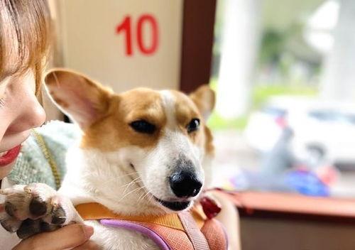 吃瓜娱乐八卦兔  第2张