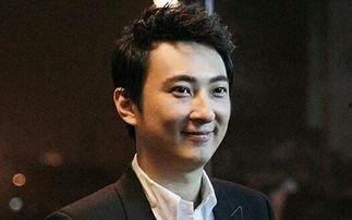 娱乐圈吃瓜汪小菲微博,娱乐圈风云再起  第3张