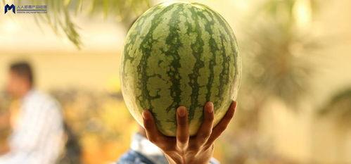 娱乐吃瓜为什么火爆,揭秘网络狂欢背后的社会现象 第3张 娱乐吃瓜为什么火爆,揭秘网络狂欢背后的社会现象 第3张