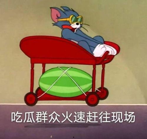 吃瓜爆料卫生间,卫生间里的惊人秘密