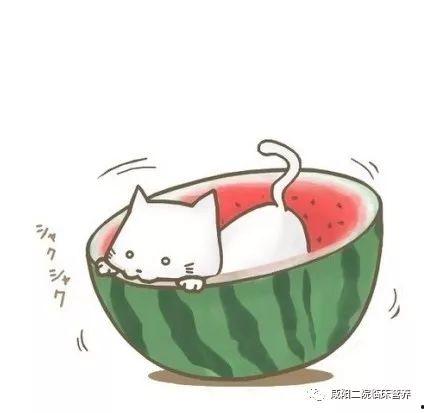 吃瓜群众图片可爱头像动漫  第2张